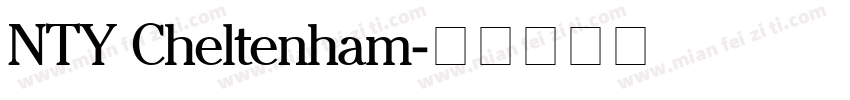 NTY Cheltenham字体转换